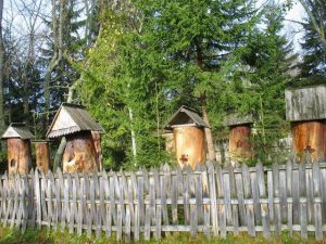 skansen